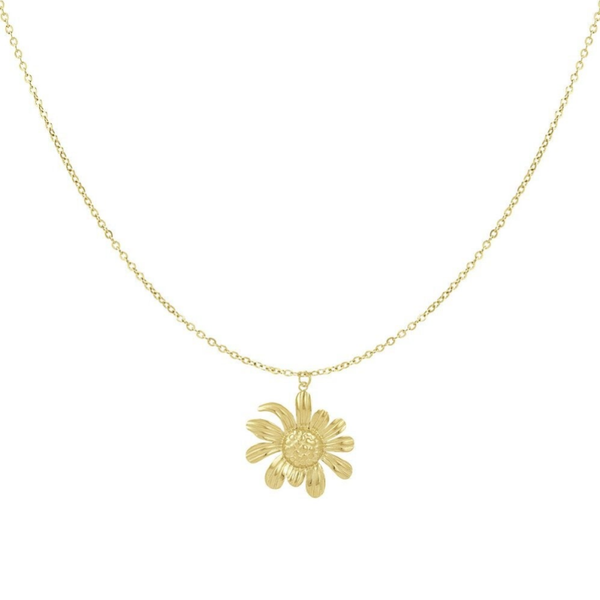 Stainless steel Bedelketting Happy Daisy