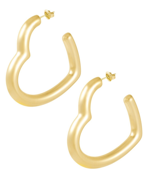 Stainless steel oorbellen Hoops Not that Heart