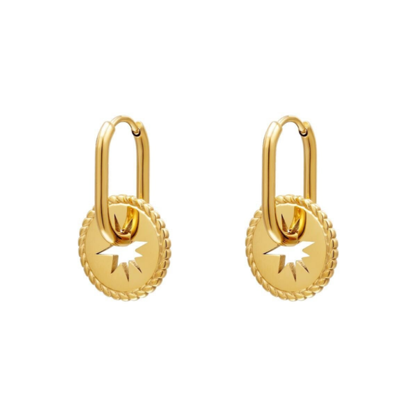 Oorbellen stainless steel Star coin