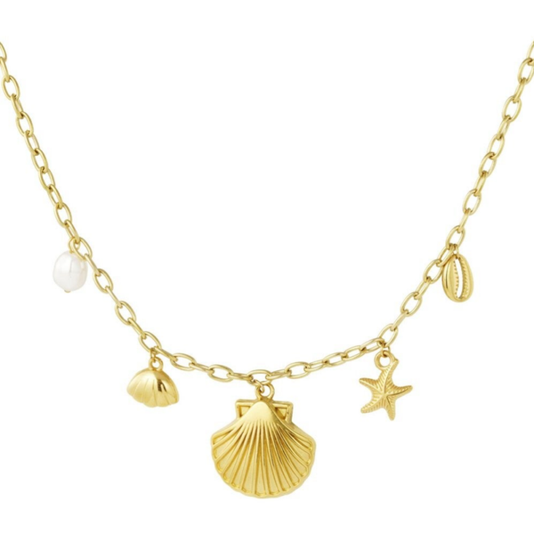 Stainless steel Bedel ketting Sea shell