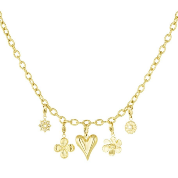 Stainless steel Bedelketting charming daily stainless steel