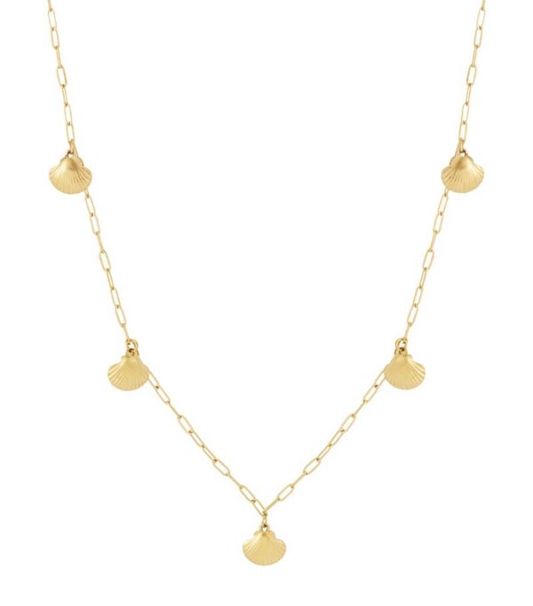 Stainless steel lange Schelp Ketting