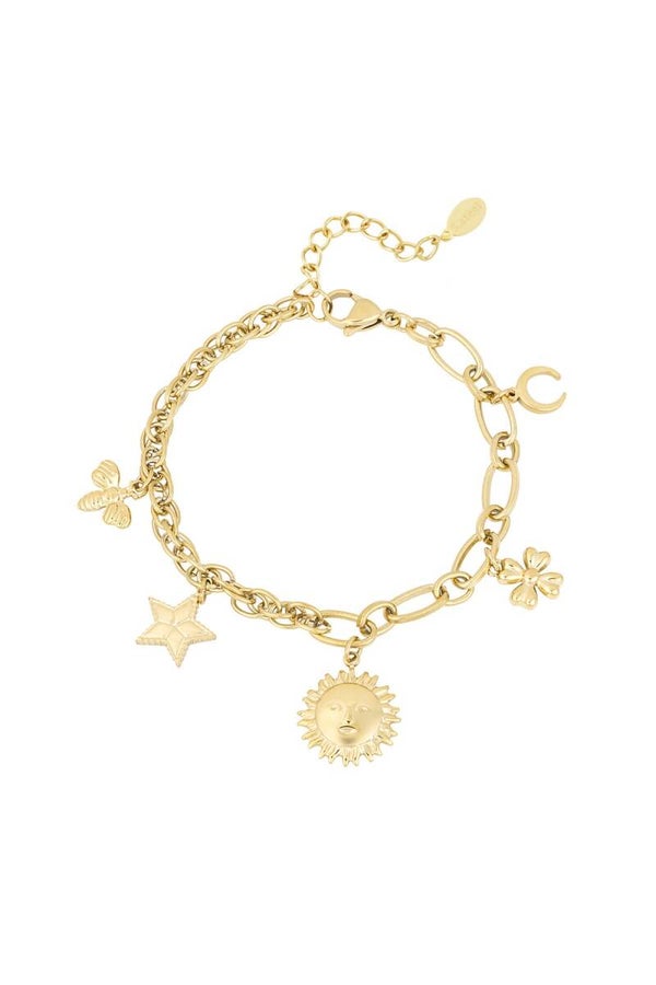Stainless steel bedelarmbandje Celestial Charms
