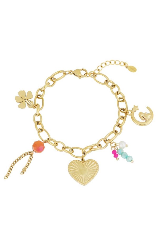 Stainless steel bedelarmbandje Loop Dreams