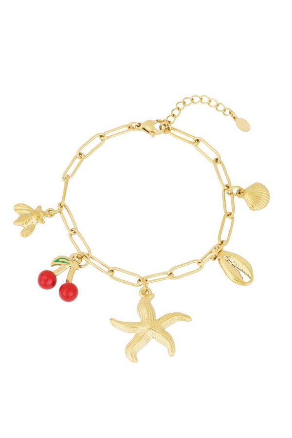 Stainless steel bedelarmbandje Charm Haven