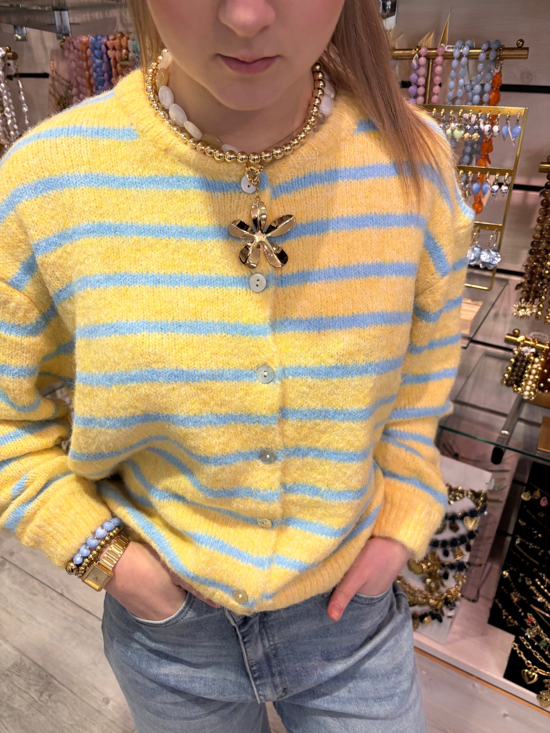 Gebreid gekleurd vest