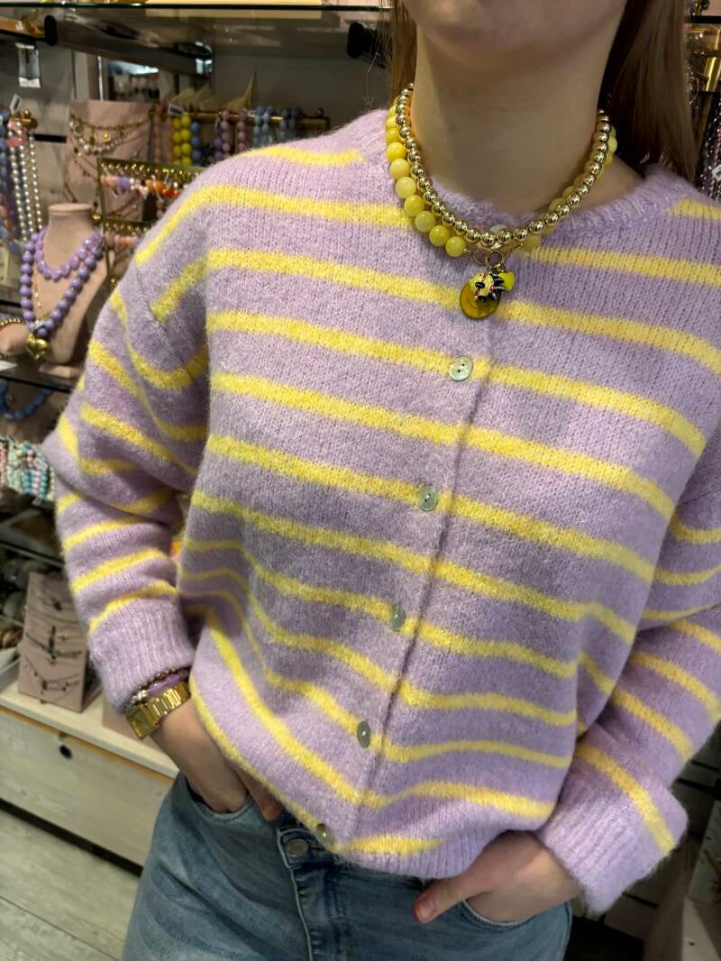 Gebreid gekleurd vest