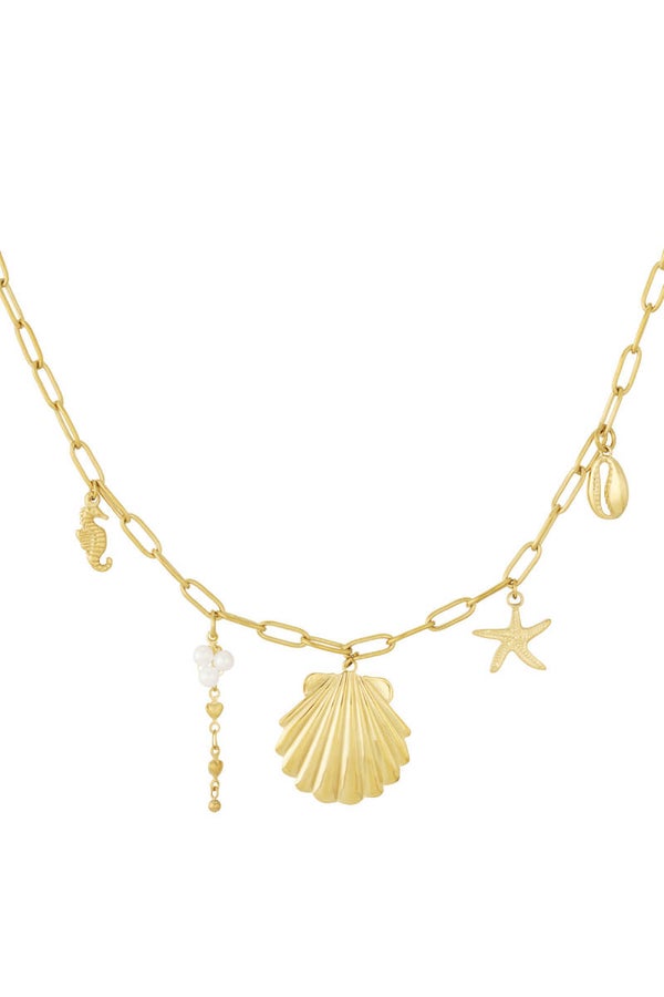 Large Beachy ketting