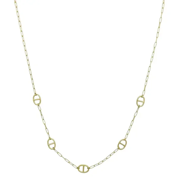 Lange stainless steel ketting met bekend motief