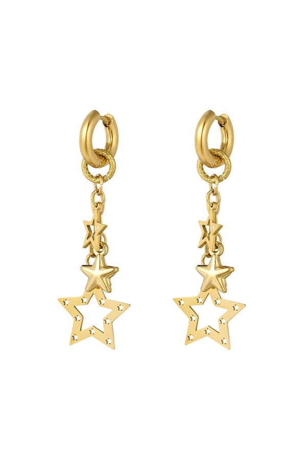 Stainless steel oorbellen Stars