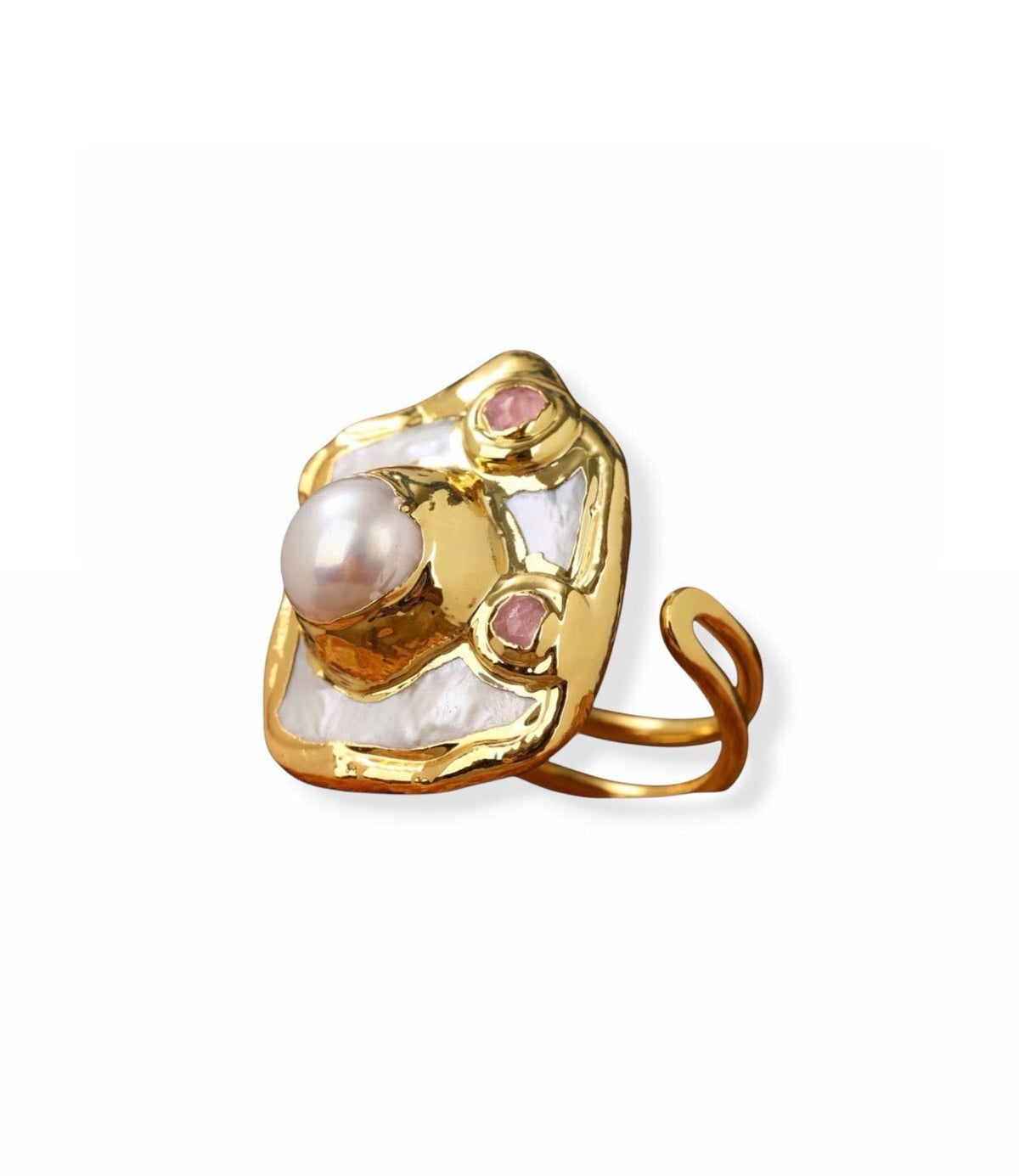 Flem the Label - Flem in Fall - Ring Puck