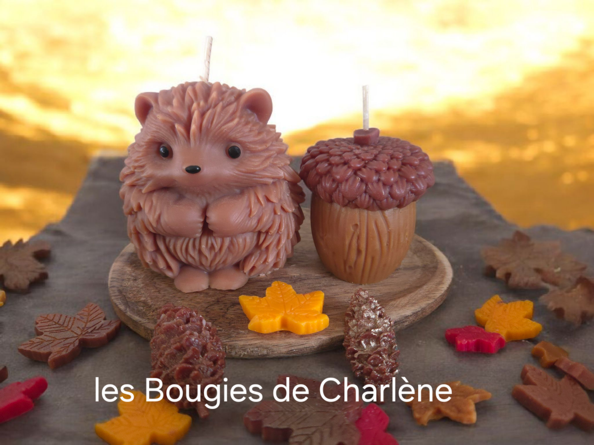 Le Petit Hérisson et son Gland Parfum Noisette