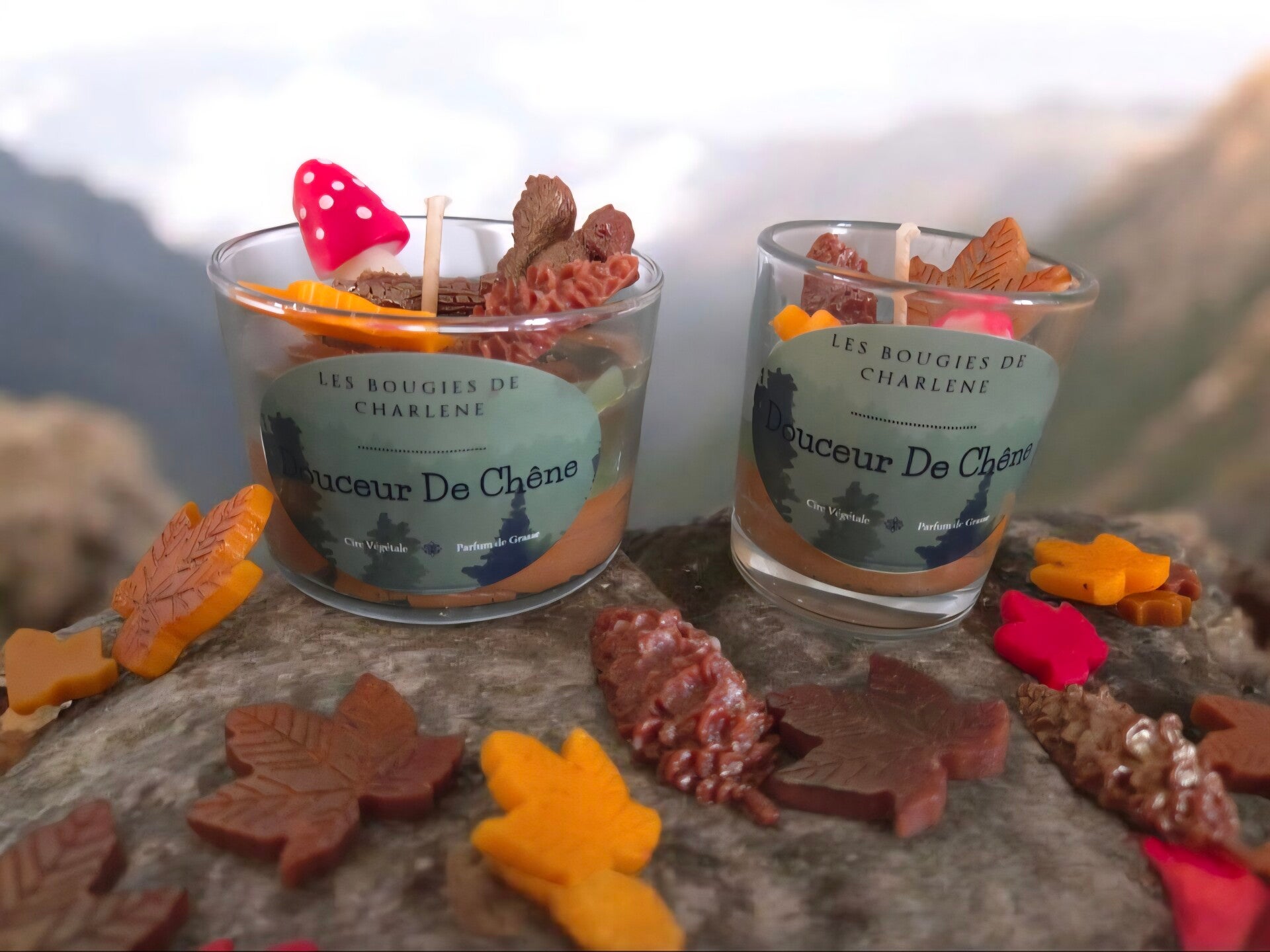 Bougie Douceur de Chêne