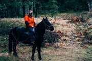 Άλογα στην Ελάτη Αρκαδίας, Τρύφωνας | Horse riding Arcadia