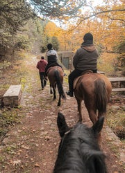 Άλογα στη φύση με Χρήστο Σιμόπουλο | Horse riding in nature