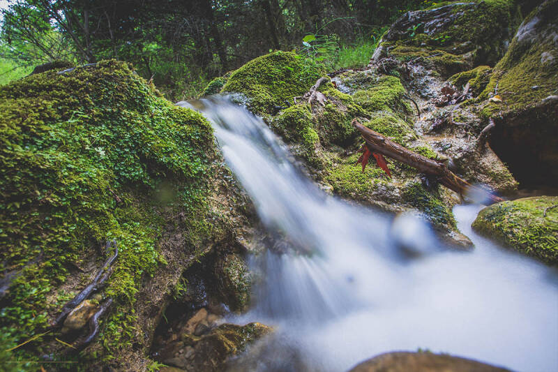 Hiking by the river, Arcadia