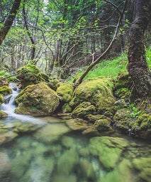 Menalon Trail by the river | Πεζοπορία δίπλα στο ποτάμι