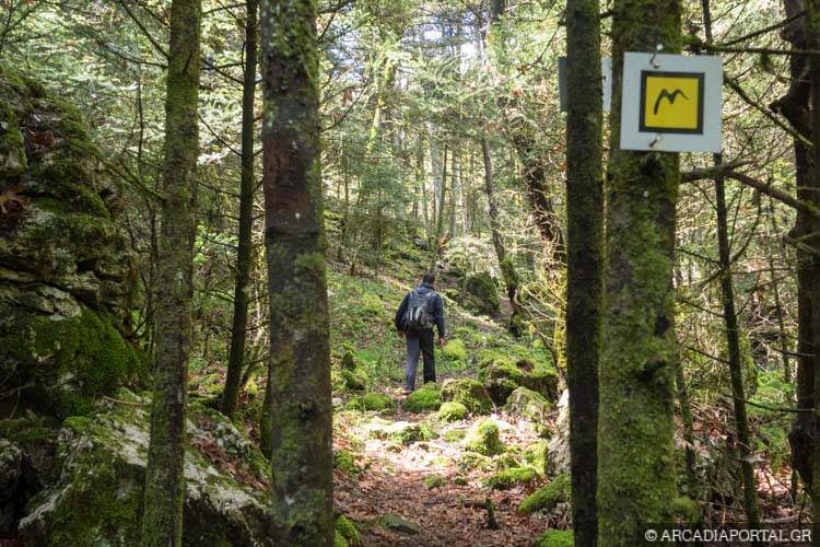 Ελάτη-Βυτίνα Μαίναλο | Menalon trail Mainalo