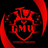 GMW CLEANING SERVICES INC