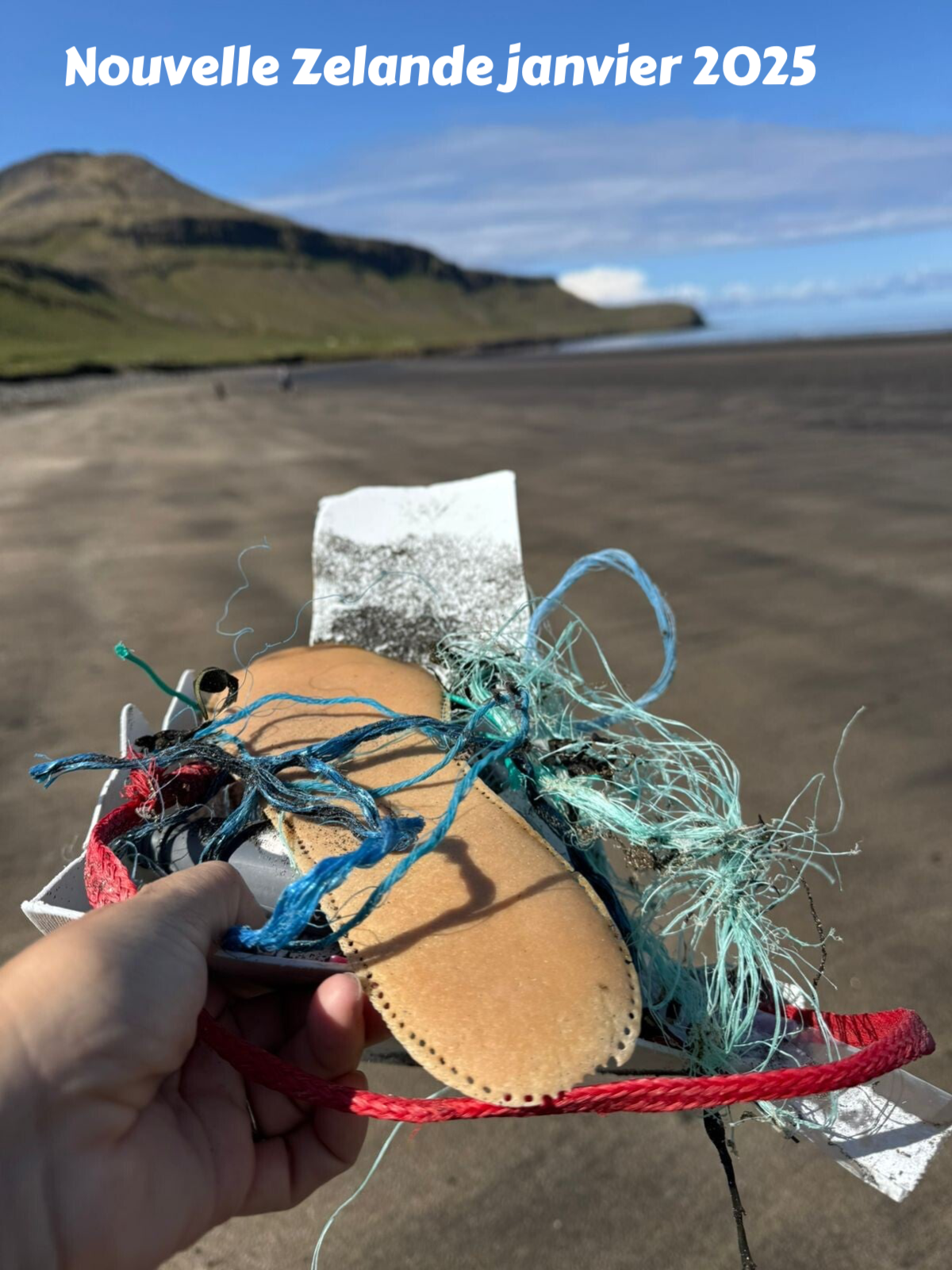 protection de l'environnement, protection des mangroves, ramassage des dechets