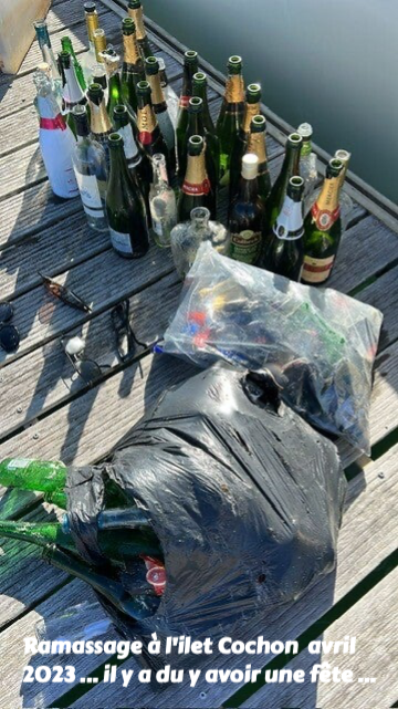 protection de l'environnement, protection des mangroves, ramassage des dechets