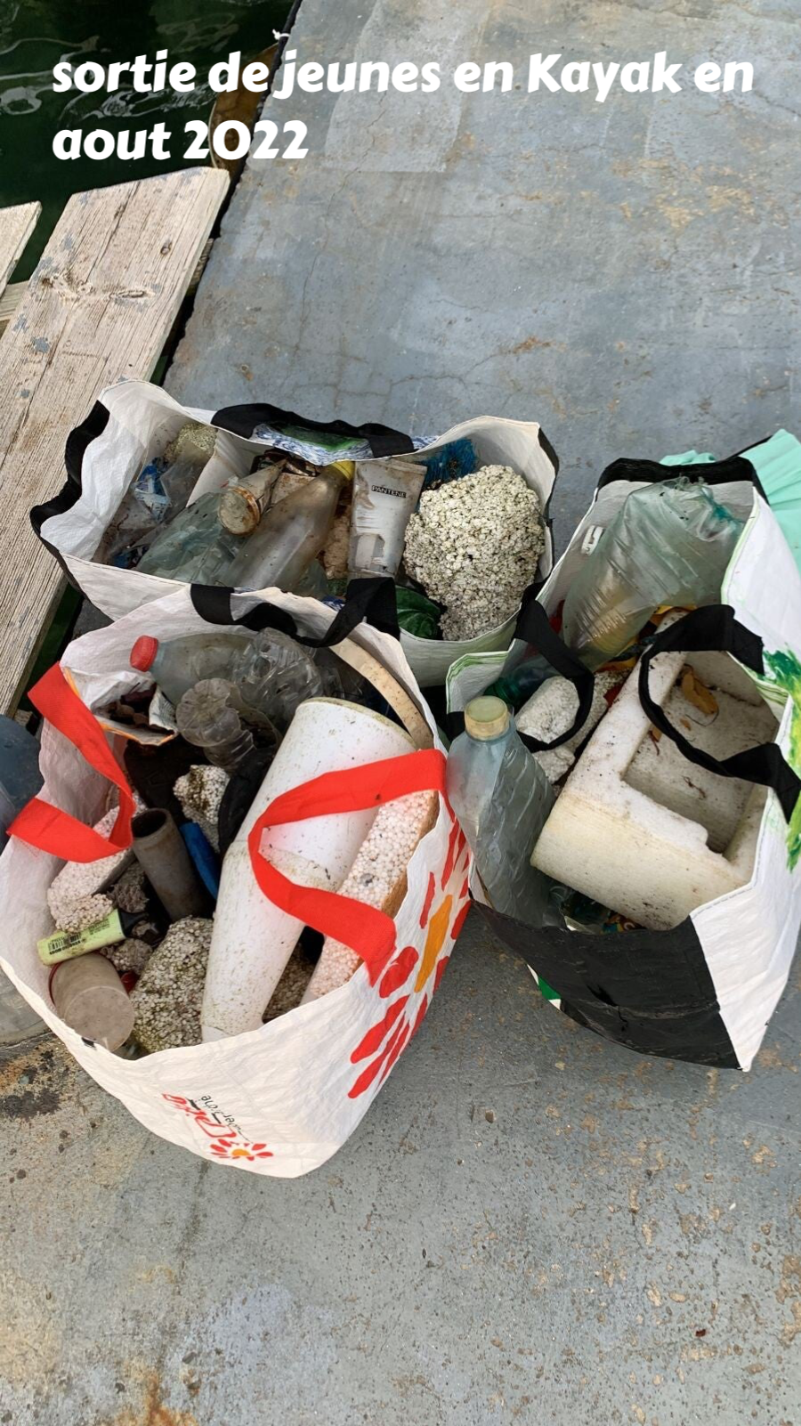 protection de l'environnement, protection des mangroves, ramassage des dechets