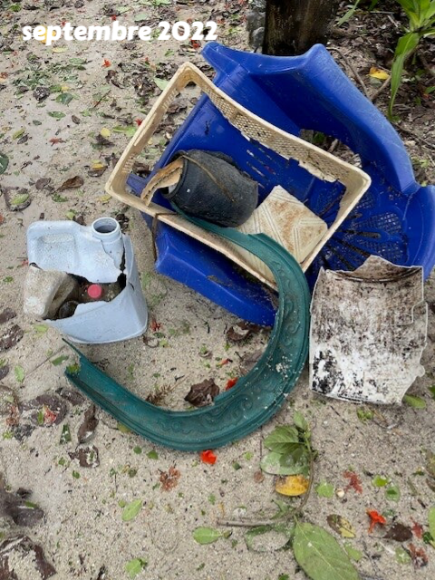 protection de l'environnement, protection des mangroves, ramassage des dechets