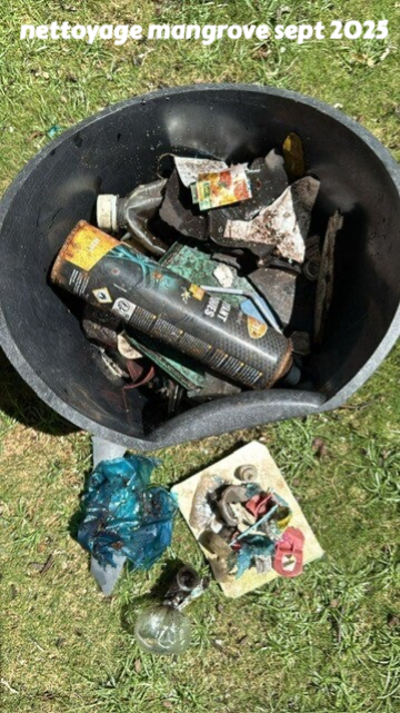 protection de mangrove, protection de l'environnement, ramassage des dechets