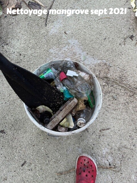 protection de l'environnement, protection des mangroves, ramassage des dechets