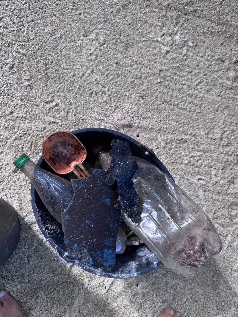 Nettoyage mangrove Nature Environnement Biodiversité 