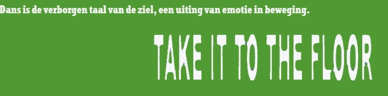 DansenderWijs dans coaching