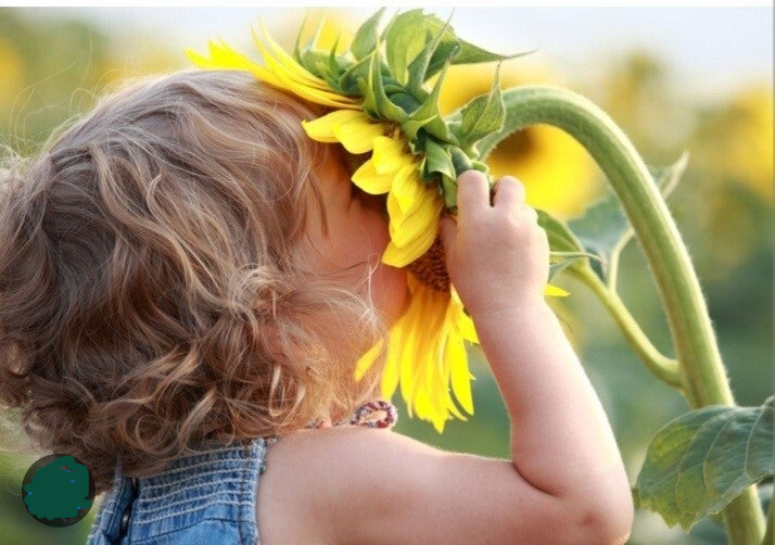 Dansenderwijs ook voor kind- en jongerencoaching