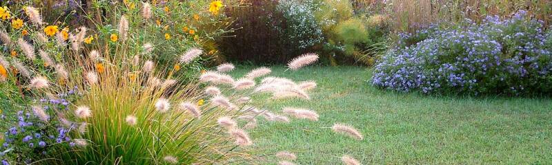 empresa construção jardim graminé Amora