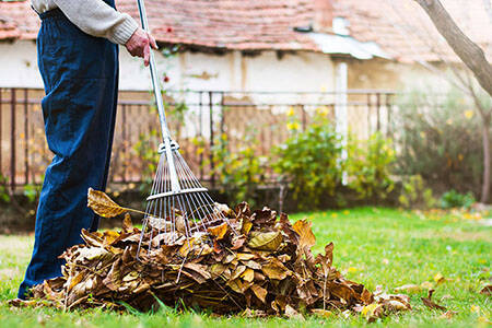 limpeza de jardim em Azeitão