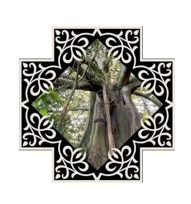 Kabbalah - Tree of Life