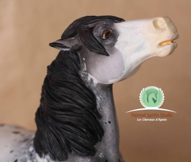 Sixty Six Chicago Ride