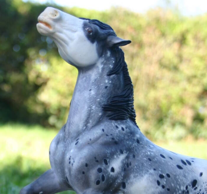 Sixty Six Chicago Ride - Photo Mandy L.