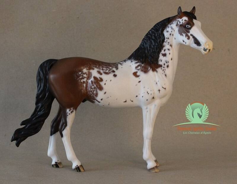 Aïden Flame - CM Breyer Faifax