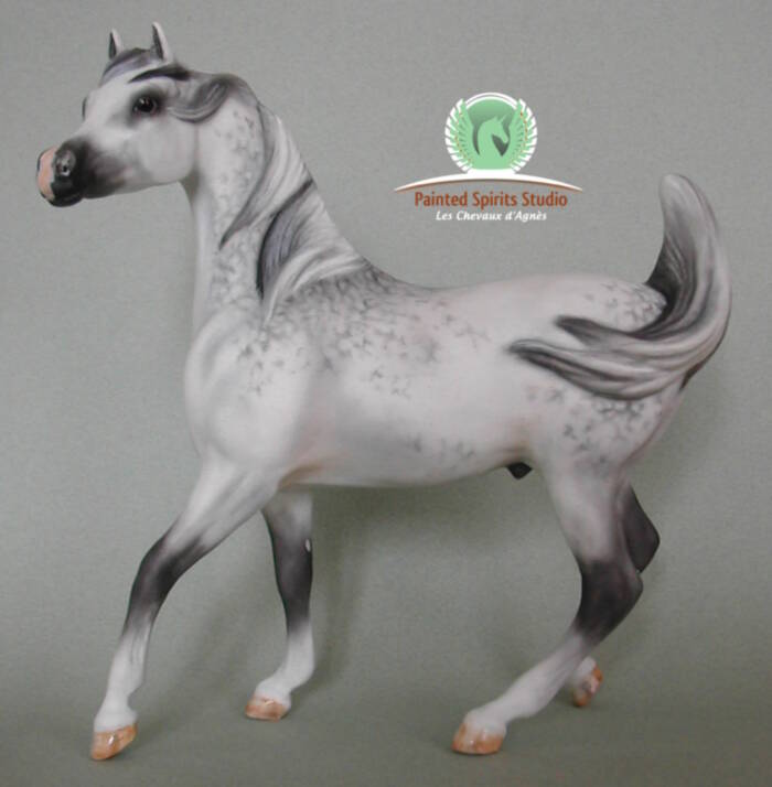 Al Djïd du Clos du Rohan - CM Breyer Sham