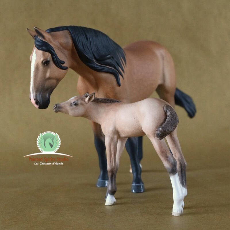 Antavia - Collecta Andalusian Mare peint par Deborah Brown