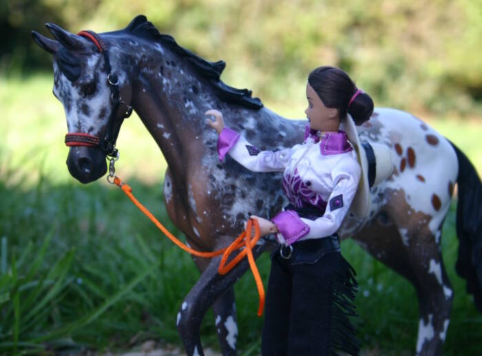 Apsaroke Crow - Photo Mandy L.