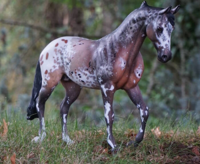 Apsaroke Crow - CM Peter Stone TB