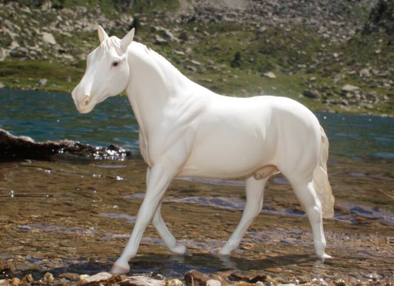 Aragorn - Photo Nathalie R.