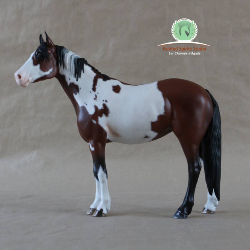 Arizona Dream du Clos du Rohan 