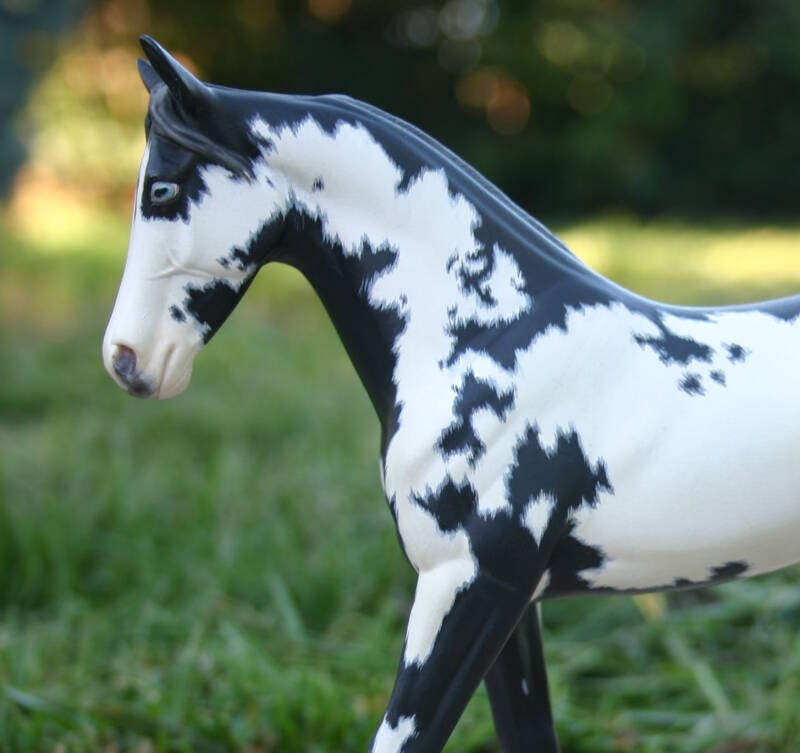 Astrid - Photo Christelle F.