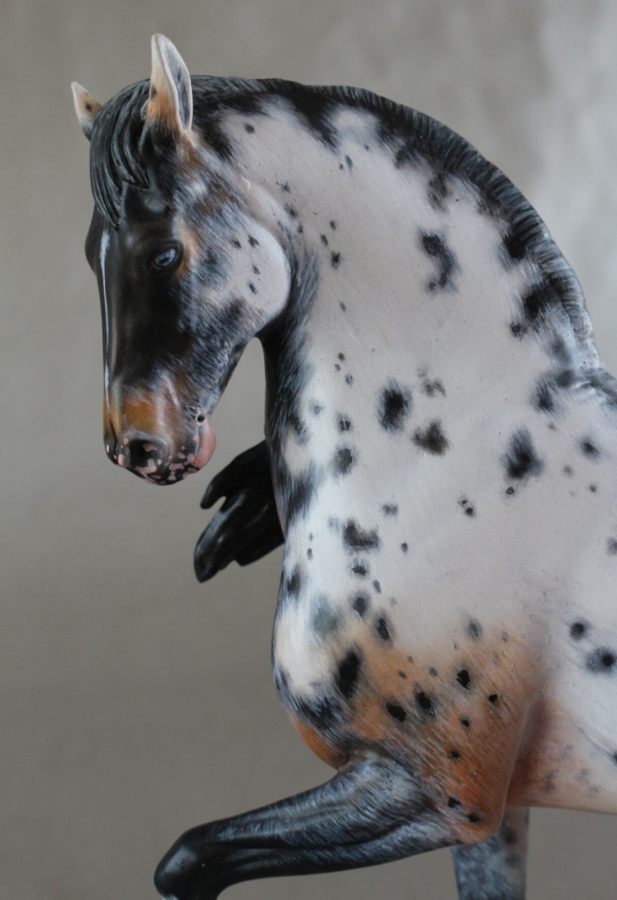 Appaloosa modle horse