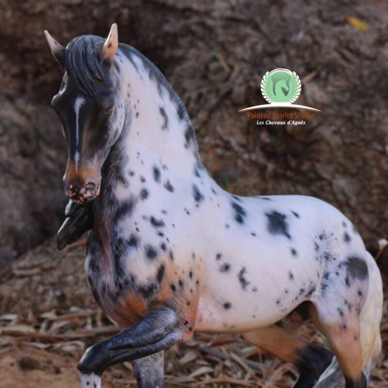 Baïloron del Delta - CM Breyer Anamar - Photo AFI