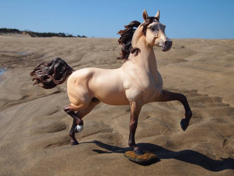 Desert Dream - Photo Céline M.