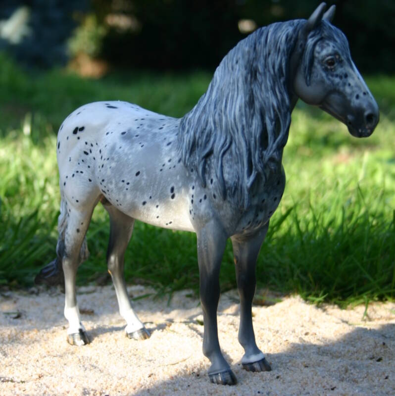 Blue Rainfire du Clos du Rohan - Photo Christelle F.