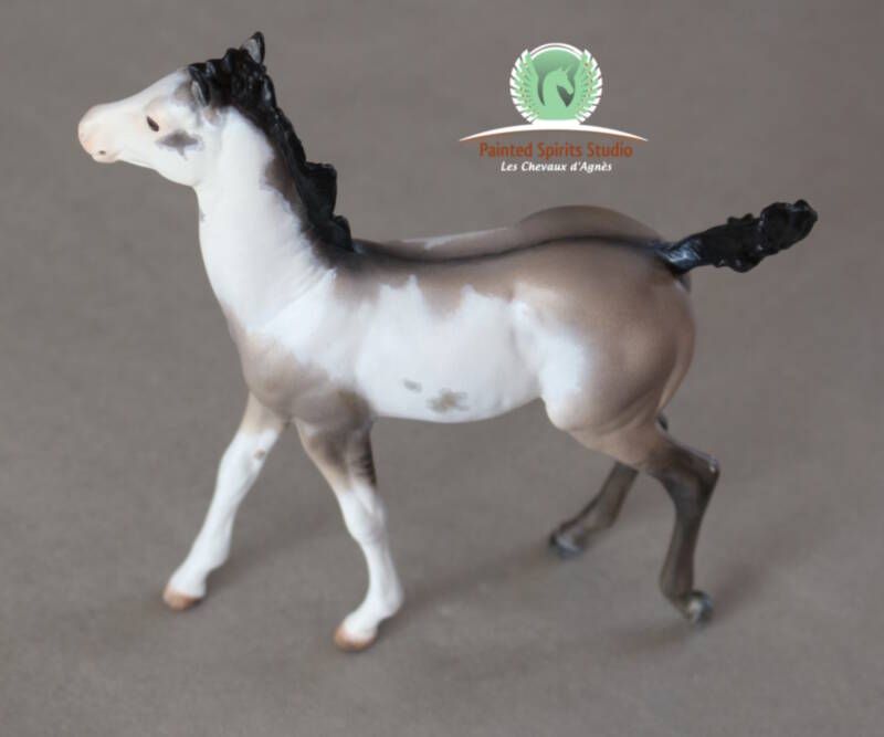 Calie du Clos du Rohan